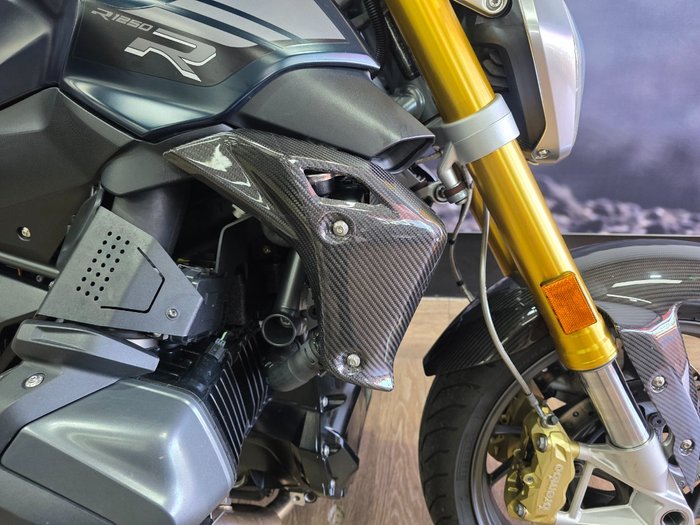 2019 BMW Motorrad R 1250 R GREEN