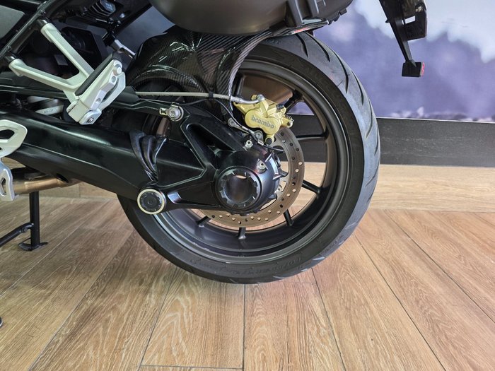 2019 BMW Motorrad R 1250 R GREEN