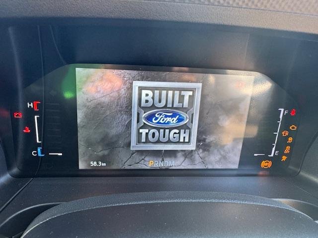 2024 Ford Ranger XL MY24.00 4X4 Dual Range Meteor Grey