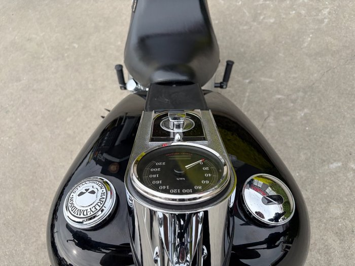 2007 HARLEY-DAVIDSON FXSTC SOFTAIL CUSTOM