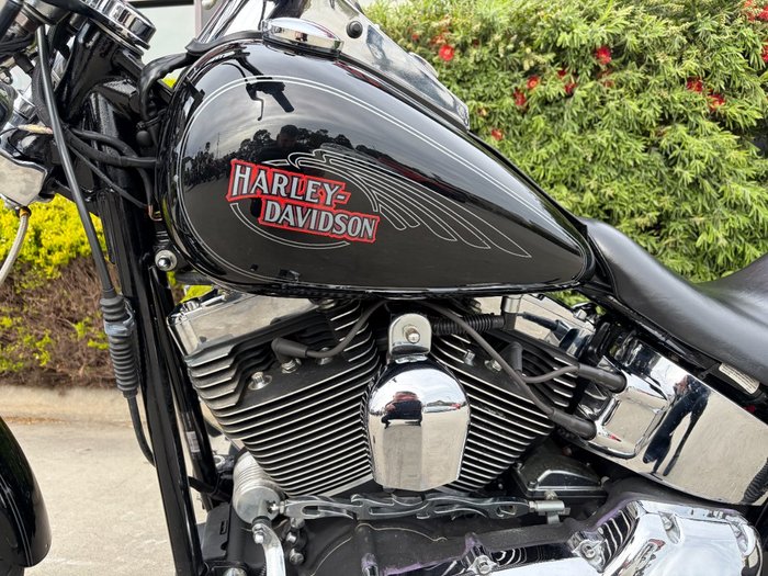 2007 HARLEY-DAVIDSON FXSTC SOFTAIL CUSTOM