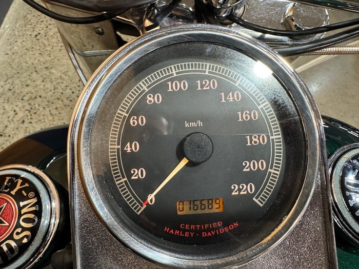 1996 Harley-davidson FLSTN HERITAGE S/TAIL SPECIAL Green