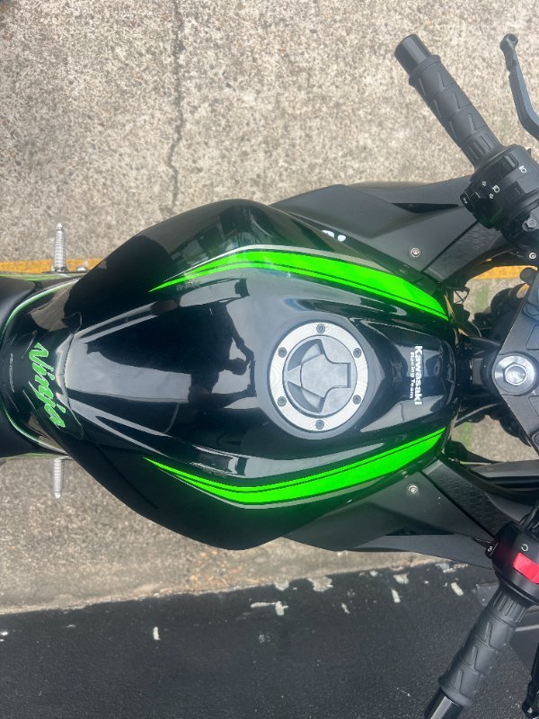 2017 Kawasaki NINJA 300 SE KRT REPLICA GREEN