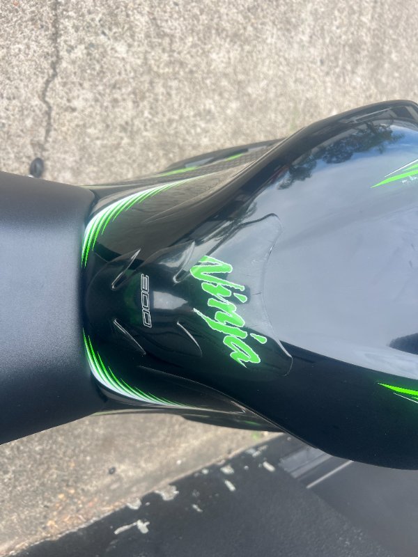 2017 Kawasaki NINJA 300 SE KRT REPLICA GREEN