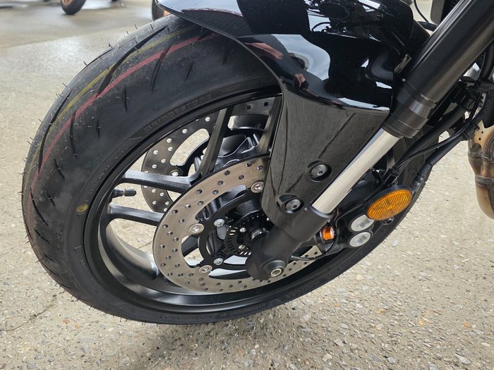 2024 Yamaha XSR900GP (MTM890ASP)