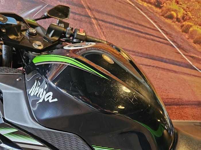 2017 Kawasaki Ninja 300 ABS (EX300B) Ninja Green