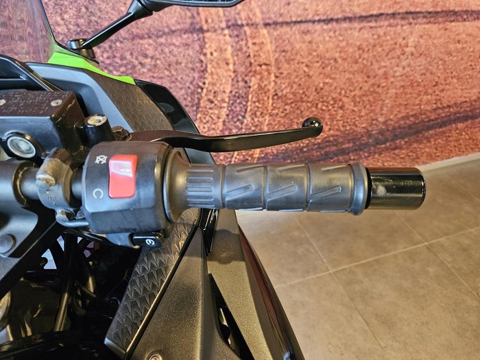 2017 Kawasaki Ninja 300 ABS (EX300B) Ninja Green