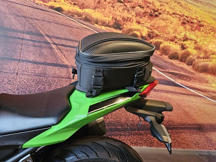 2017 Kawasaki Ninja 300 ABS (EX300B) Ninja Green
