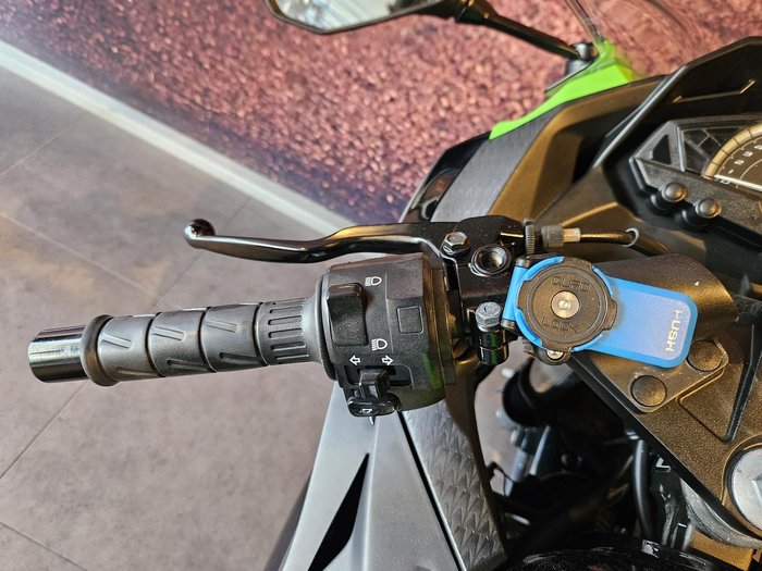 2017 Kawasaki Ninja 300 ABS (EX300B) Ninja Green