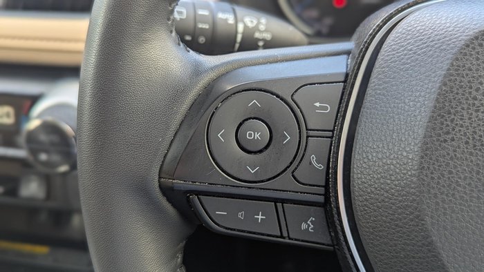 2021 Toyota RAV4 Cruiser