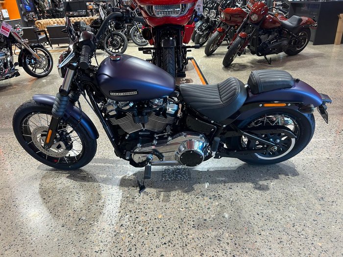 2025 Harley-Davidson Street Bob 117 (FXBB) Softail Purple