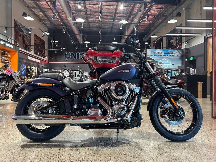2025 Harley-Davidson Street Bob 117 (FXBB) Softail Purple