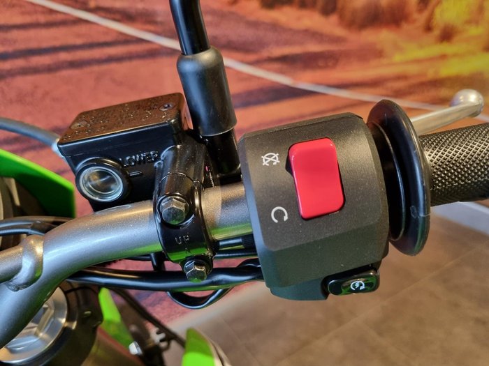 2025 Kawasaki KLX300 KLX Green