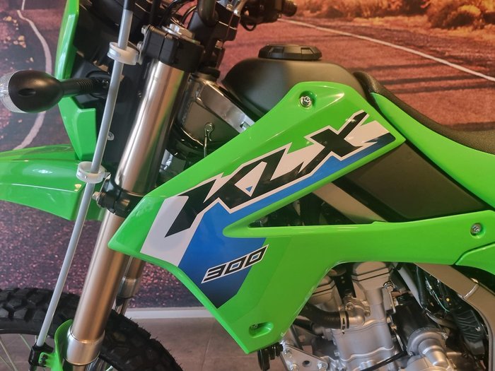 2025 Kawasaki KLX300 KLX Green