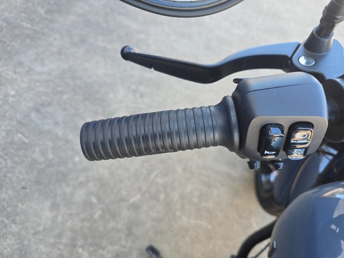 2022 Indian CHIEF DARK HORSE Grey