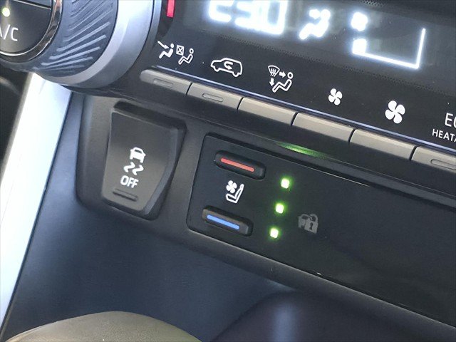 2025 Toyota RAV4 Cruiser