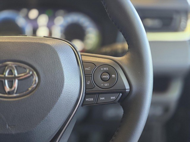 2025 Toyota RAV4 Cruiser