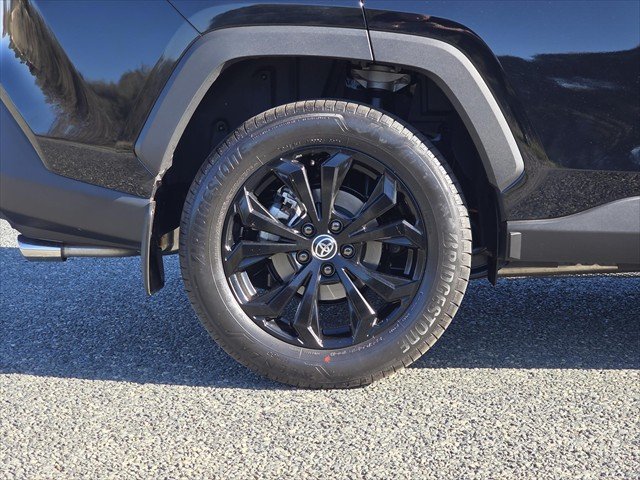 2025 Toyota RAV4 Cruiser