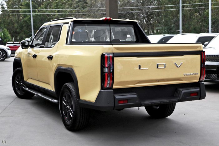 2025 LDV Terron 9