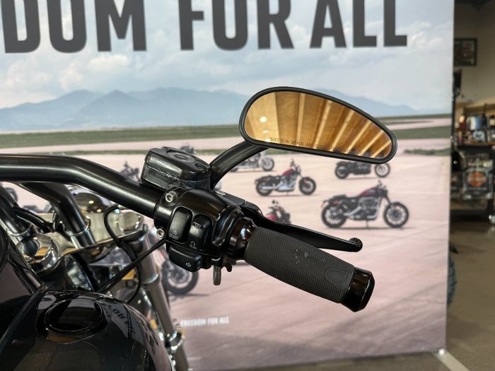 2006 Harley-davidson FXSTBI SOFTAIL NIGHT TRAIN BLACK PEARL