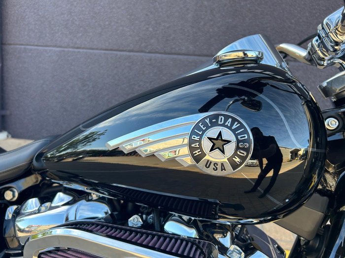 2025 Harley-Davidson Fat Boy 117 (FLFB) Softail Black