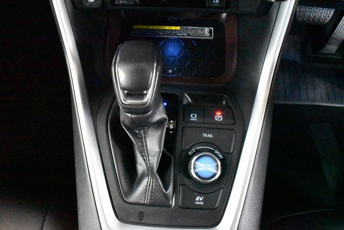 2019 Toyota RAV4 Cruiser