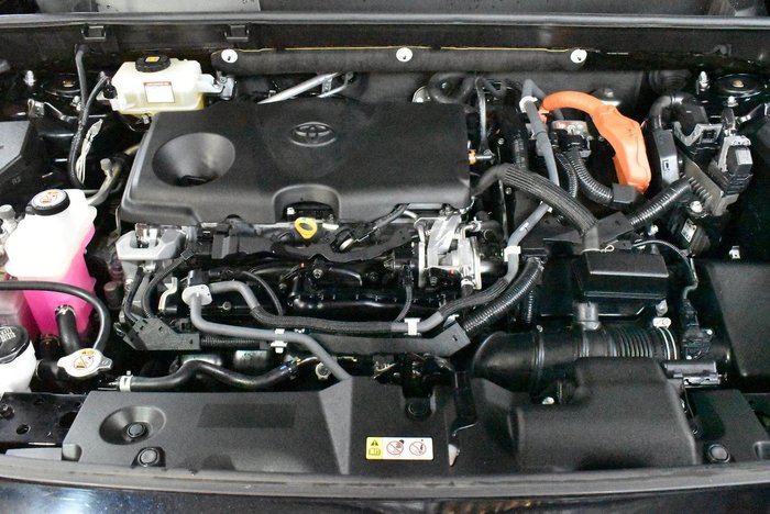 2019 Toyota RAV4 Cruiser