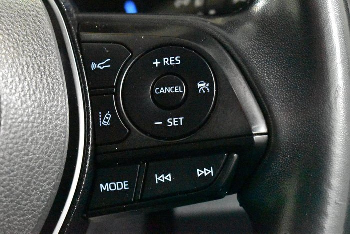 2019 Toyota RAV4 Cruiser