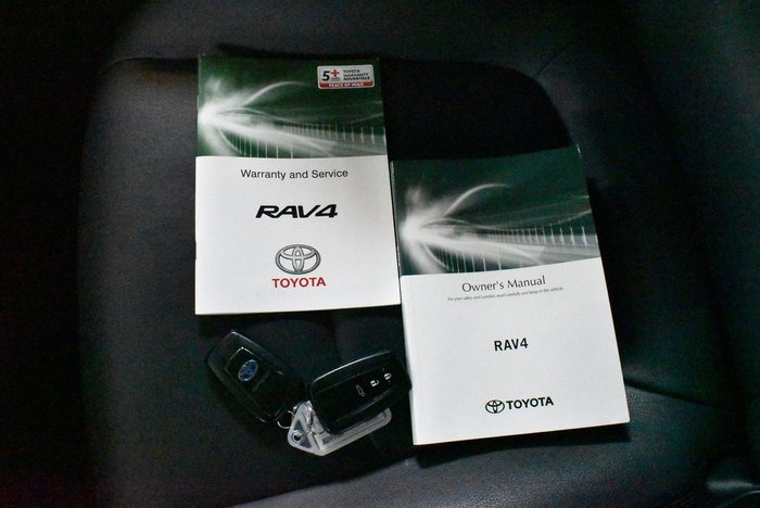 2019 Toyota RAV4 Cruiser