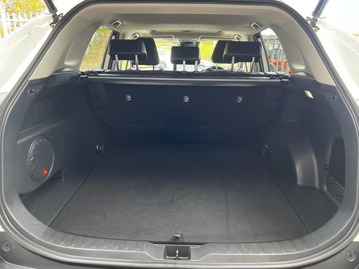 2022 Toyota RAV4 Cruiser