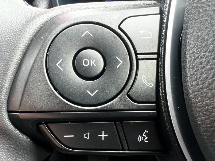 2022 Toyota RAV4 Cruiser