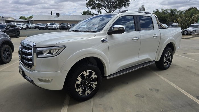 2021 GWM Ute Cannon-X