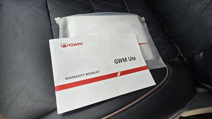 2021 GWM Ute Cannon-X