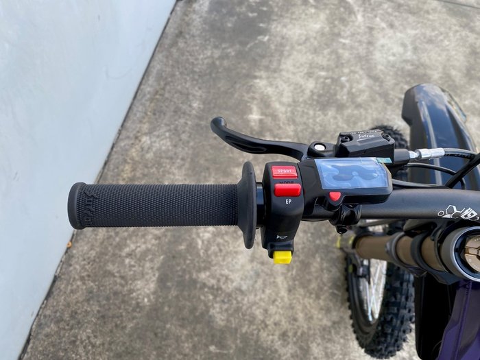 2025 Sur-ron LIGHT BEE X Purple