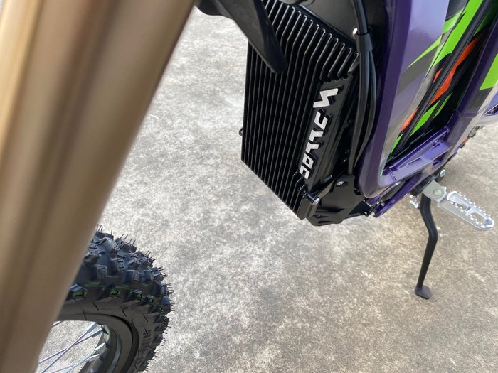 2025 Sur-ron LIGHT BEE X Purple