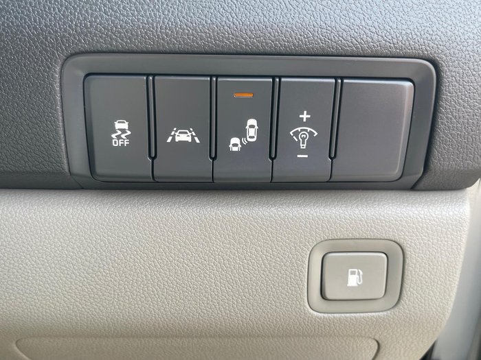 2017 Kia Carnival Platinum