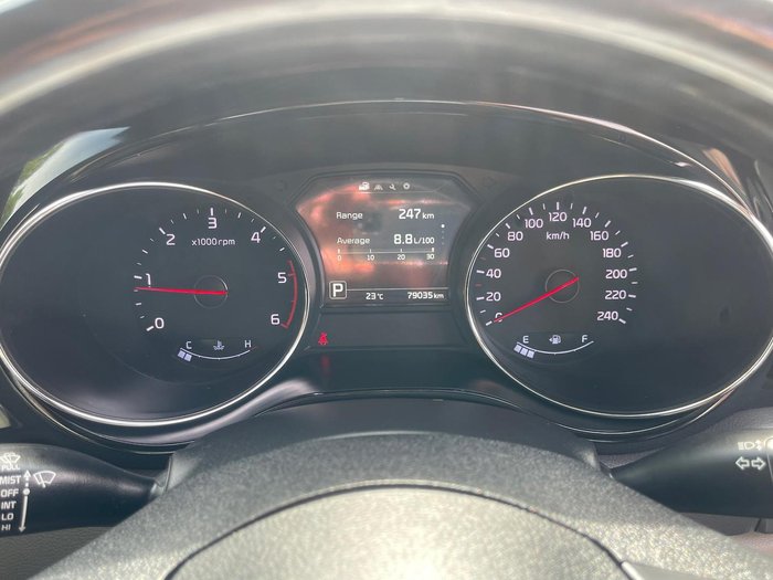 2017 Kia Carnival Platinum