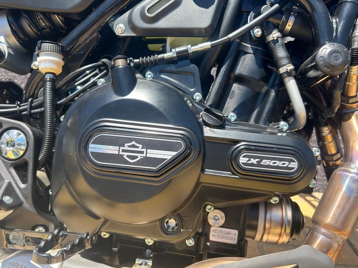 2025 Harley-Davidson X 500 X Blue
