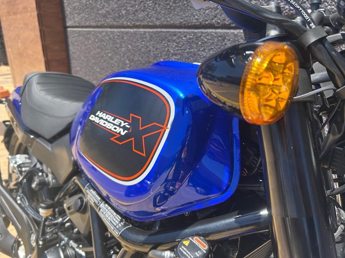 2025 Harley-Davidson X 500 X Blue