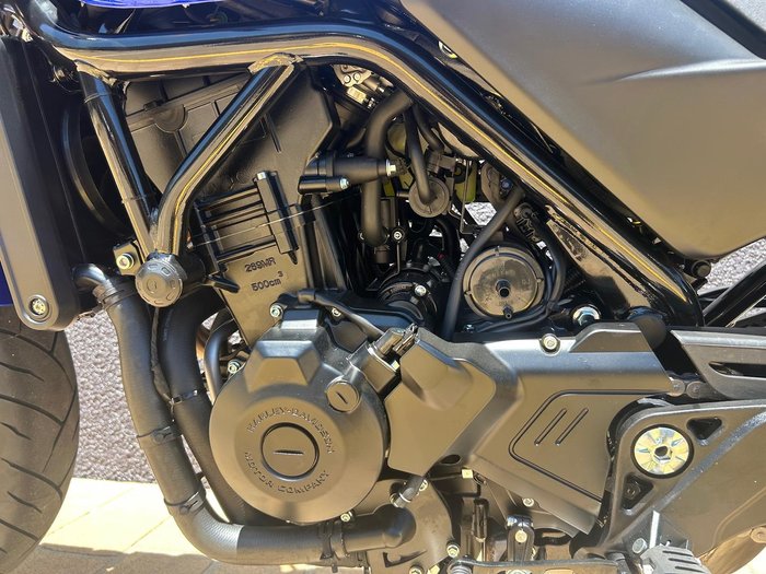 2025 Harley-Davidson X 500 X Blue