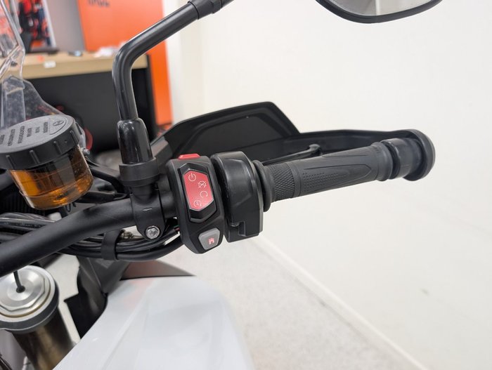 2022 Triumph TIGER 1200 RALLY PRO SILVER ICE