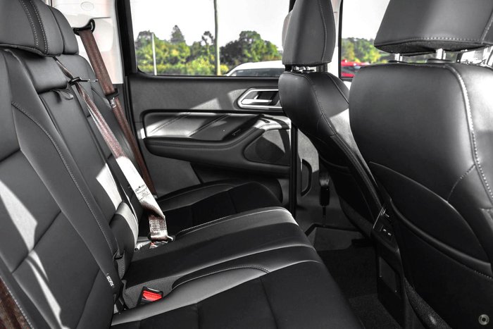 2025 GWM Cannon Premium