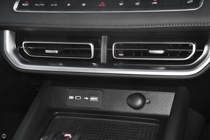 2025 GWM Cannon Premium