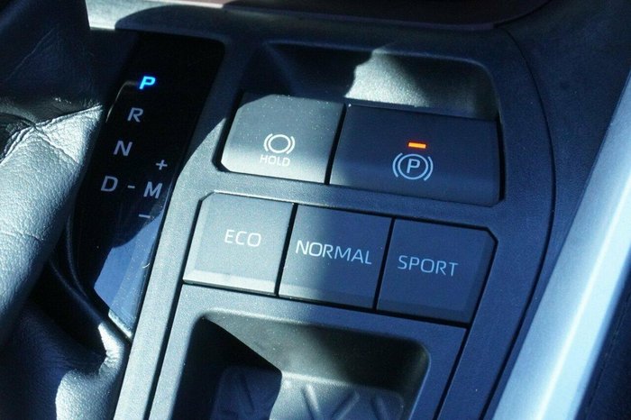 2021 Toyota RAV4 Cruiser