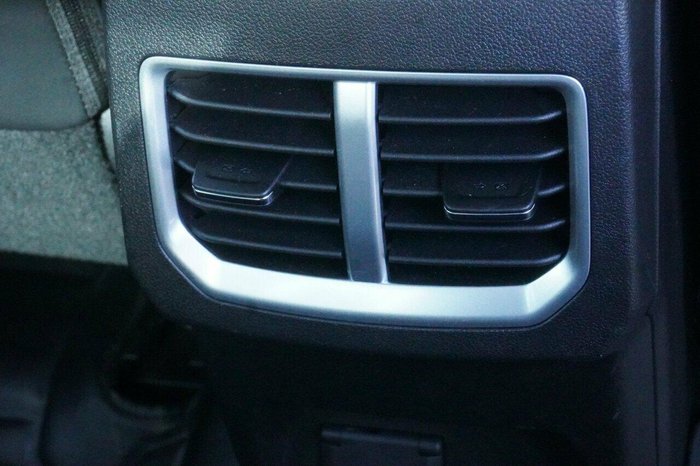 2022 GWM Ute Cannon-X