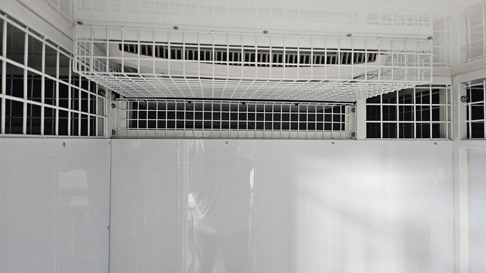 2025 Mcneill 6 Berth Dog Trailer