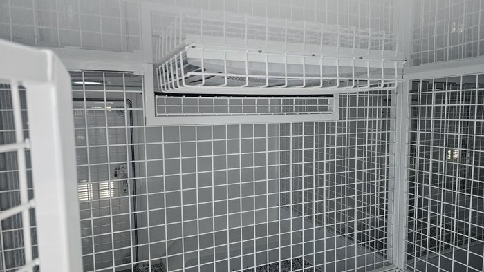 2025 McNeill 8 Berth Dog Trailer