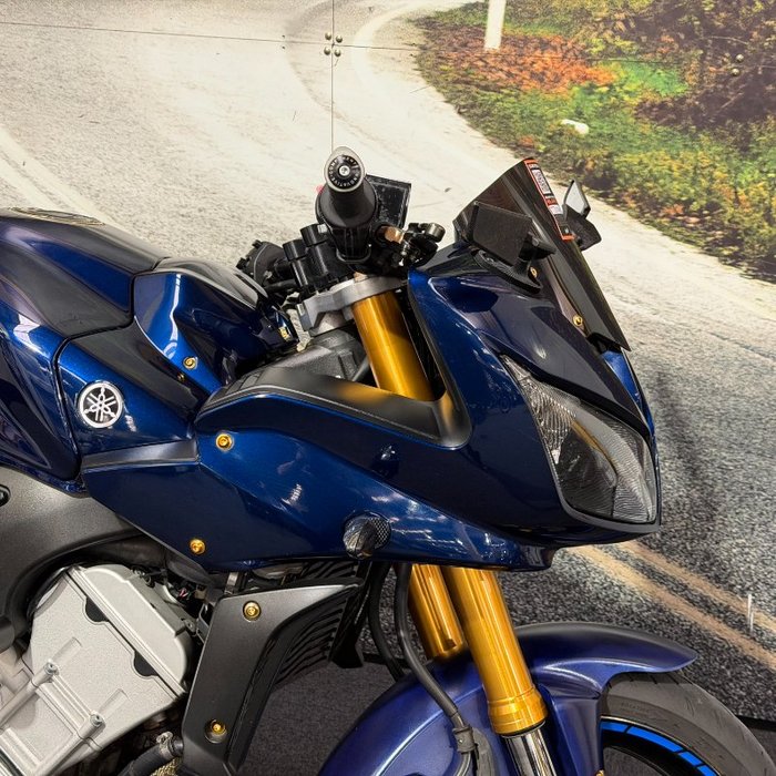 2006 Yamaha FZ1S Blue