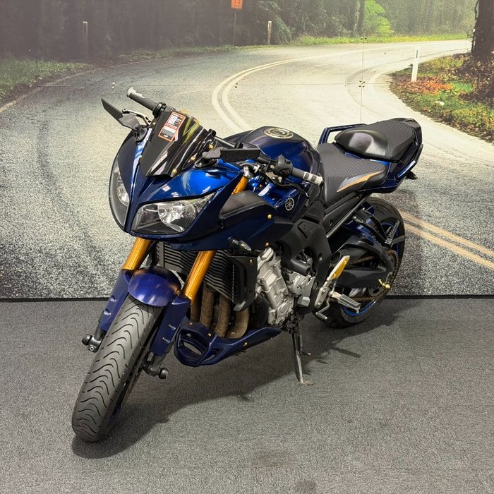 2006 Yamaha FZ1S Blue