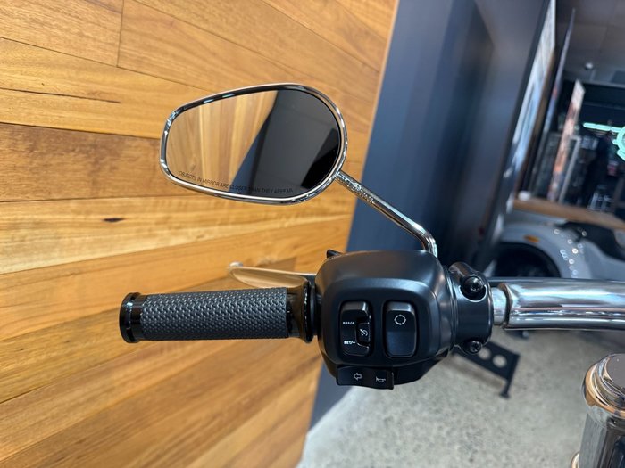 2025 Harley-davidson FXBR BREAKOUT (117) Billiard Gray